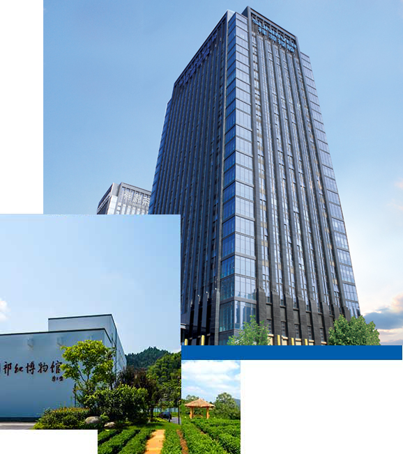 首页- 必发集团有限公司官方网站