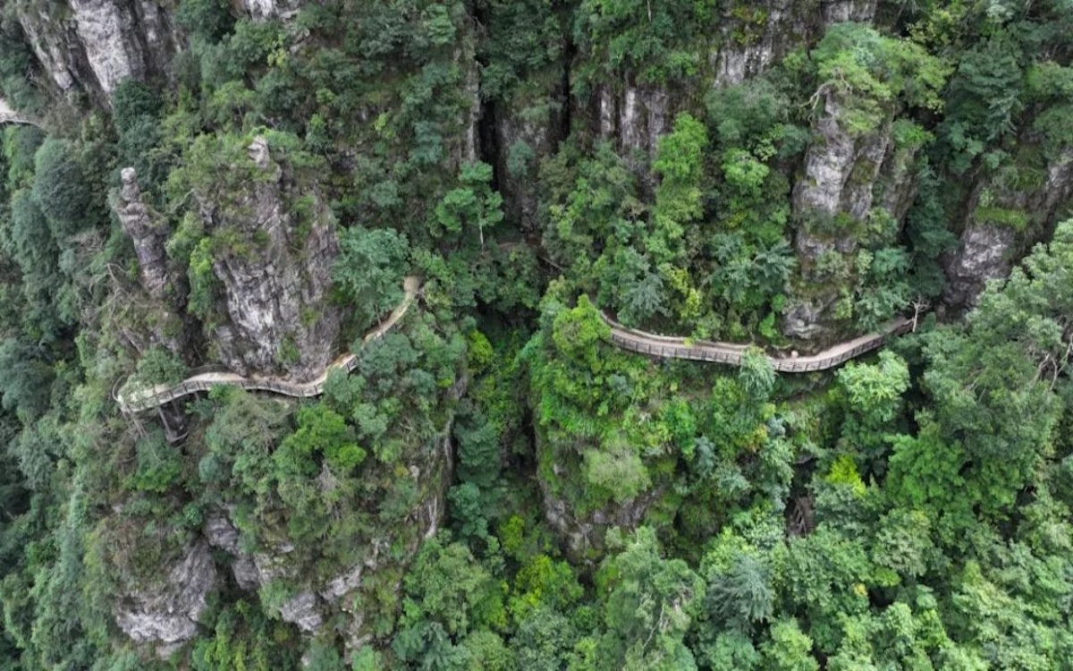 首页- 必发集团有限公司官方网站